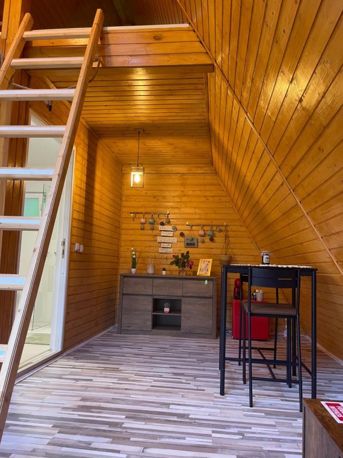 Cabane A-Frame Svinita Exterior photo