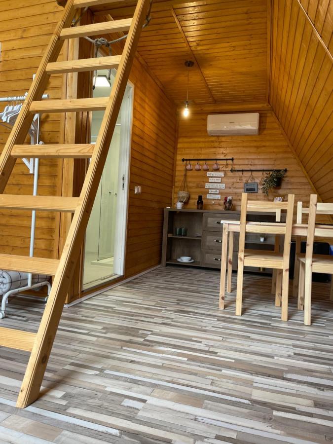 Cabane A-Frame Svinita Exterior photo